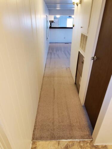 A hallway with carpeted floor.