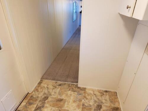 A hallway with a carpet on the floor.